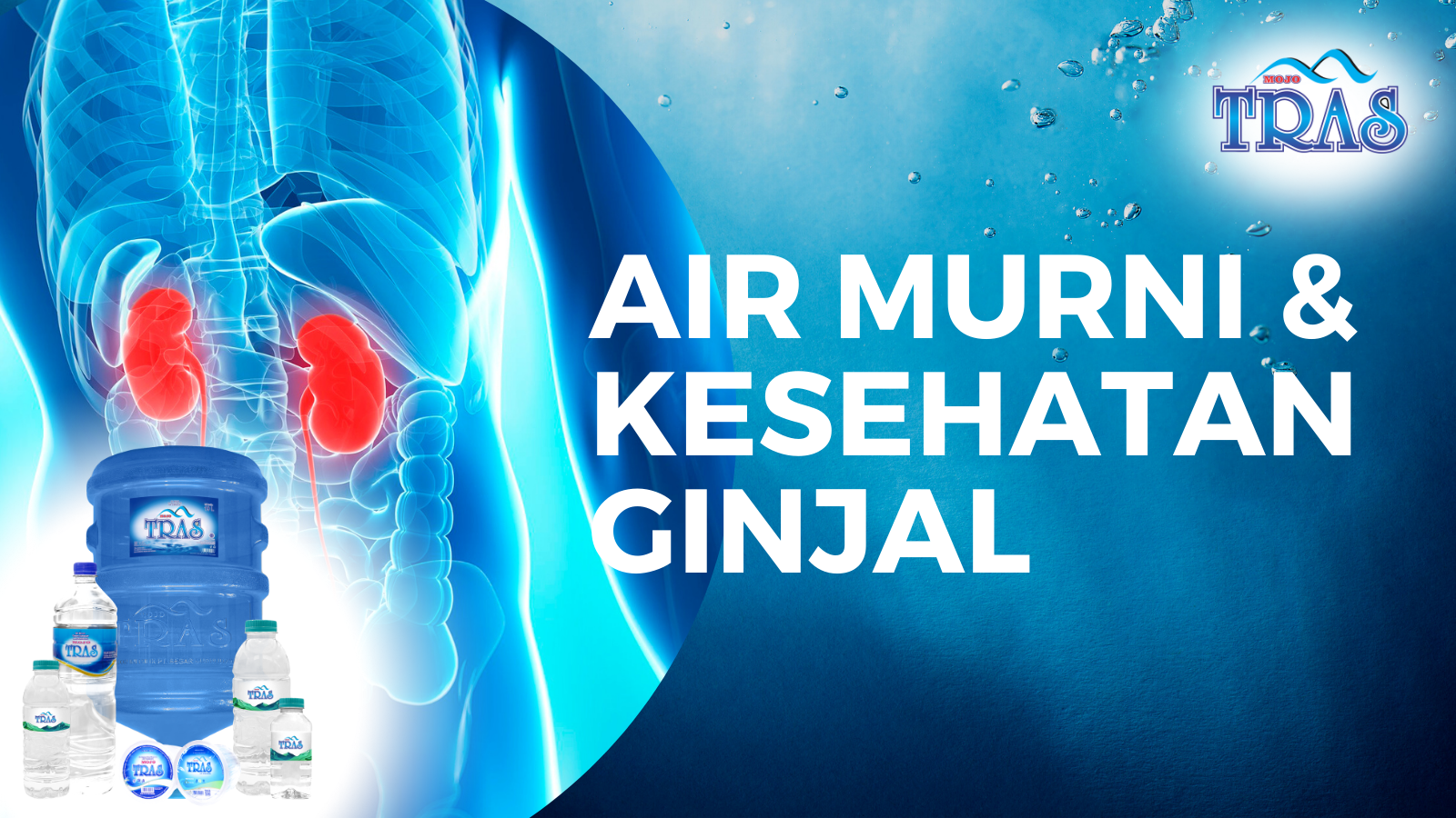 Air Murni & Kesehatan Ginjal – Rahasia Hidup Lebih Sehat Bersama Mojo Tras